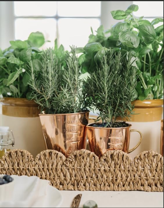 4 Measuring Cup | Stainless Steel with Copper Finish | Heavy-Duty, Rust-Resistant, Easy-Read Measurements | Kitchen Measuring Tool for Baking, Cooking, Liquids, Dry Ingredients