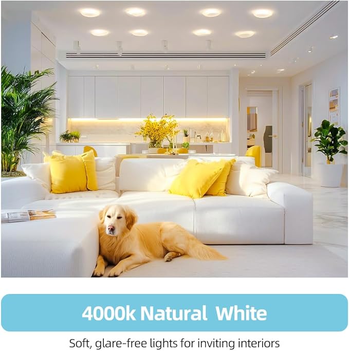 12 Pack BR30 LED Bulbs, 65W Equivalent, 10W 4000K Neutral White, 700 Lumens, Flicker-Free, Dimmable Recessed Can Flood Lights for Home & Kitchen, Long Lasting & Energy Efficient, E26 Base, UL Listed