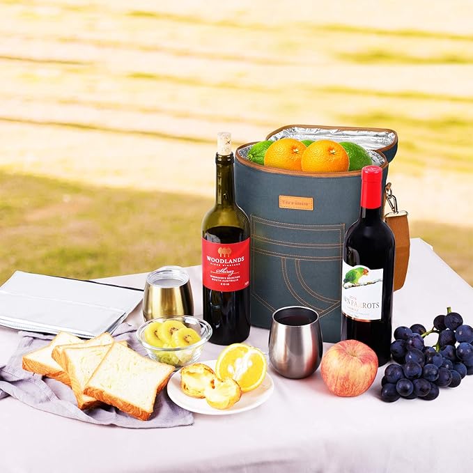 Tirrinia 4 Bottle Wine Gift Carrier - Gray, Padded, Insulated, Portable, Versatile, Stylish