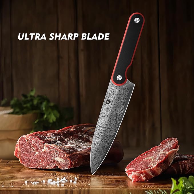FINTISO Chef Knife 8 Inch, Professional 67-Layer Damascus Stainless Steel Kitchen Knife with 10Cr15CoMoV Steel Core, Ultra Sharp Cooking Knife with Ergonomic Full Tang G10 Handle