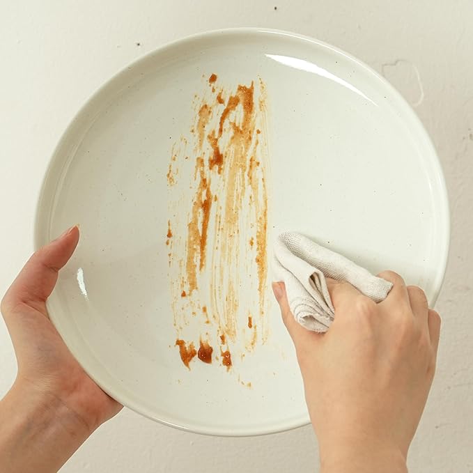 Stoneware Dinner Plates Set of 4, 10.25 Inch Plates for Steak, Pasta, Ceramic Plates Sets, Microwave Safe, Dishwasher Safe, Versatile for All Seasons, Stardust Glaze White