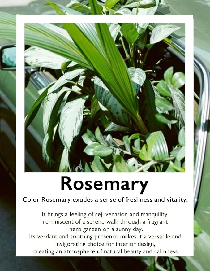 LeGourmet Nonstick Bread Loaf Pan 9 X 5 Inch, Ceramic Coating, Non-Toxic, Rust Resistant Aluminized Steel, Perfect 1 lb Baking Dish for Meatloaf, Pound Cake & Brownie (Rosemary)