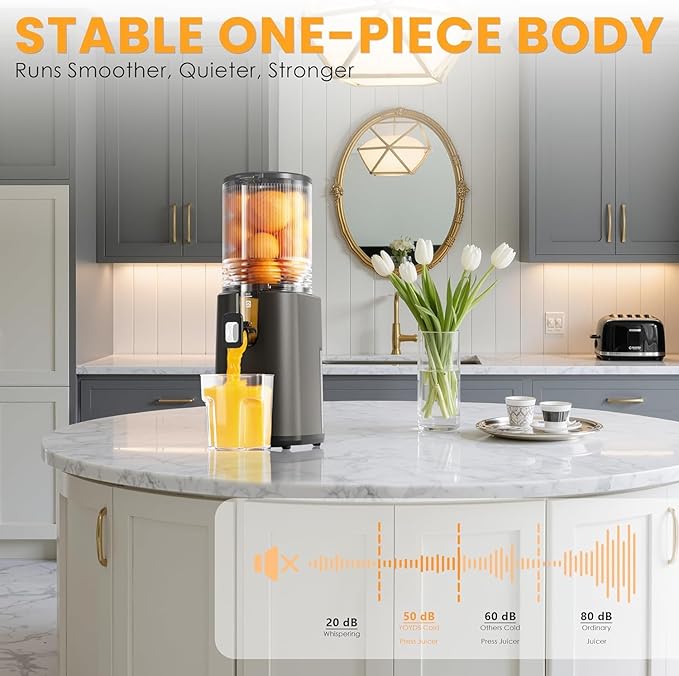 Cold Press Juicer, 5.5inch Wide Feed Chute Juicer Machine, Slow Masticating Juicer for Whole Vegetables & Fruits, Gray