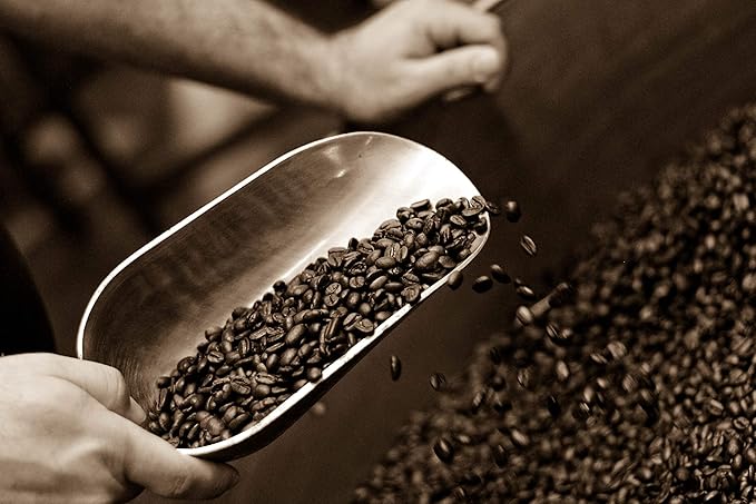 Caffe D'arte Firenze Whole Bean Espresso Coffee – Medium Light Roast, Bright & Mild Flavor, Sweet & Smooth Aroma – Crafted for Espresso & Americanos, 1 Pound Bag, Pack of 2