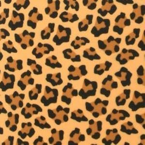 Tirrinia 2 Bottle Wine Gift Tote Carrier - Leakproof & Insulated Padded Versatile Wine Cooler Bag for Travel, BYOB Restaurant, Wine Tasting, Party, Dinner,Gift for Wine Lovers, Cheetah