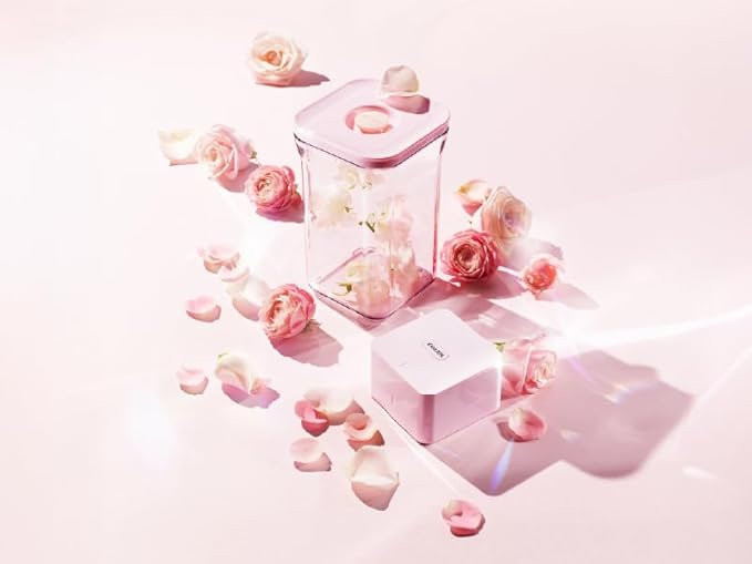 VAKUEN Premium Airtight Food Storage Containers ROSE 2.0L(2.11qt) 2P/SET, Patented Double Silicone Lining, 100% Leak Proof, BPA-FREE