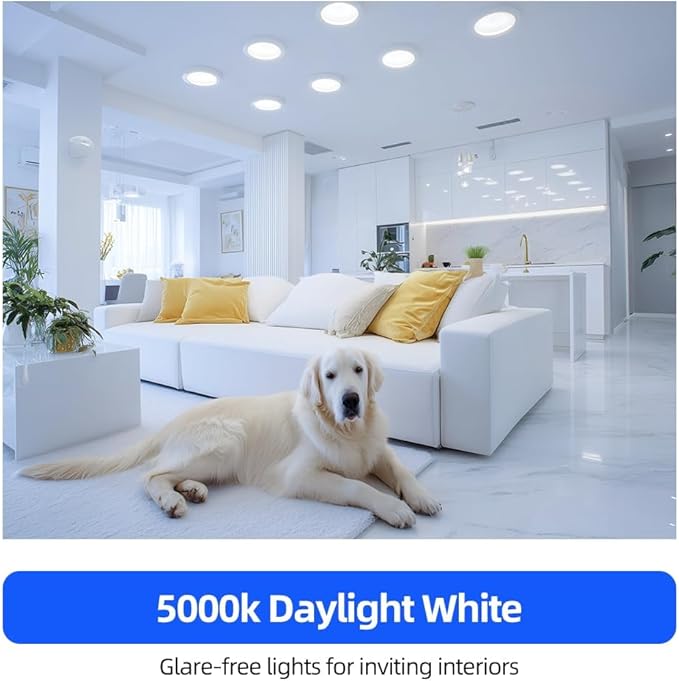 24 Pack BR30 LED Bulbs, 65W Equivalent, 5000K Daylight, 700 Lumens, Flicker-Free, Recessed Can Light Bulbs, Dimmable Flood Lights for Home, Kitchen Long Lasting & Energy Efficient, E26 Base, UL Listed