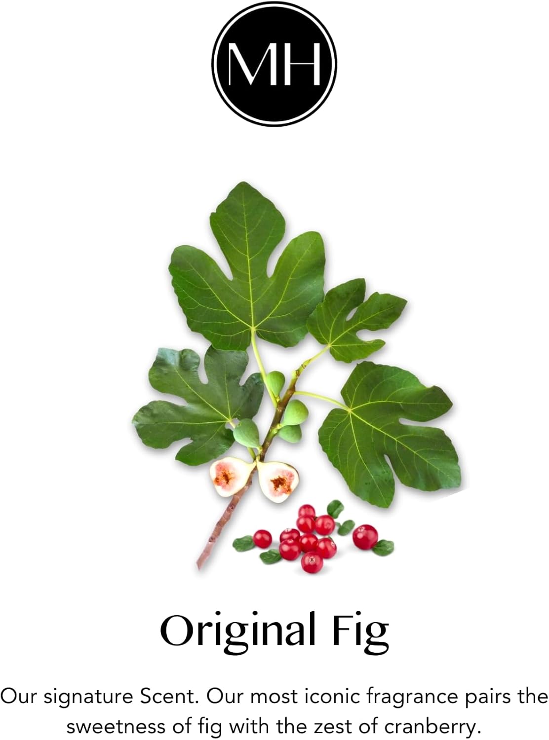 Murchison-Hume Heirloom Dish Soap, Made in Australia, Plant-Based, Non-Toxic, Biodegradable 32 Fl Oz Refill Original Fig (PET) (32 Ounce PET, Original Fig)