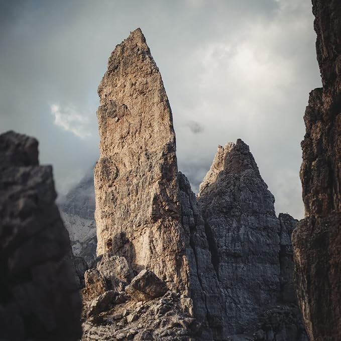 Bristot Bio Organic Italian Espresso Beans | Italian Whole Beans | Medium Roast | 1.1lb/500g