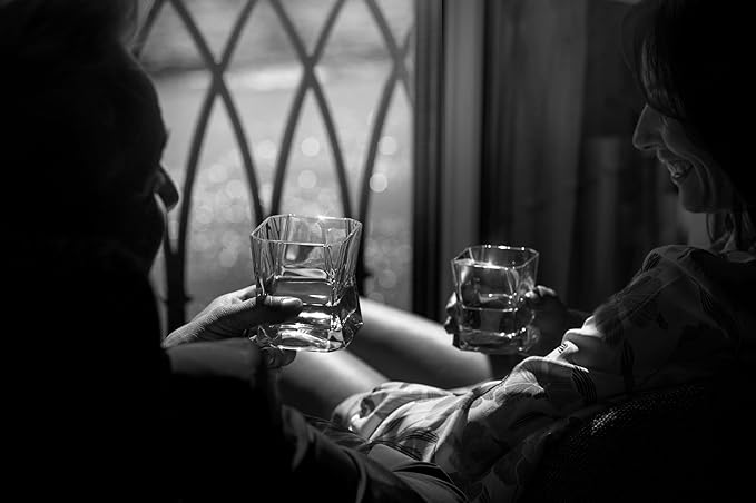 Cibi - Large Blade Runner Glass (Twin Pack) 37cl