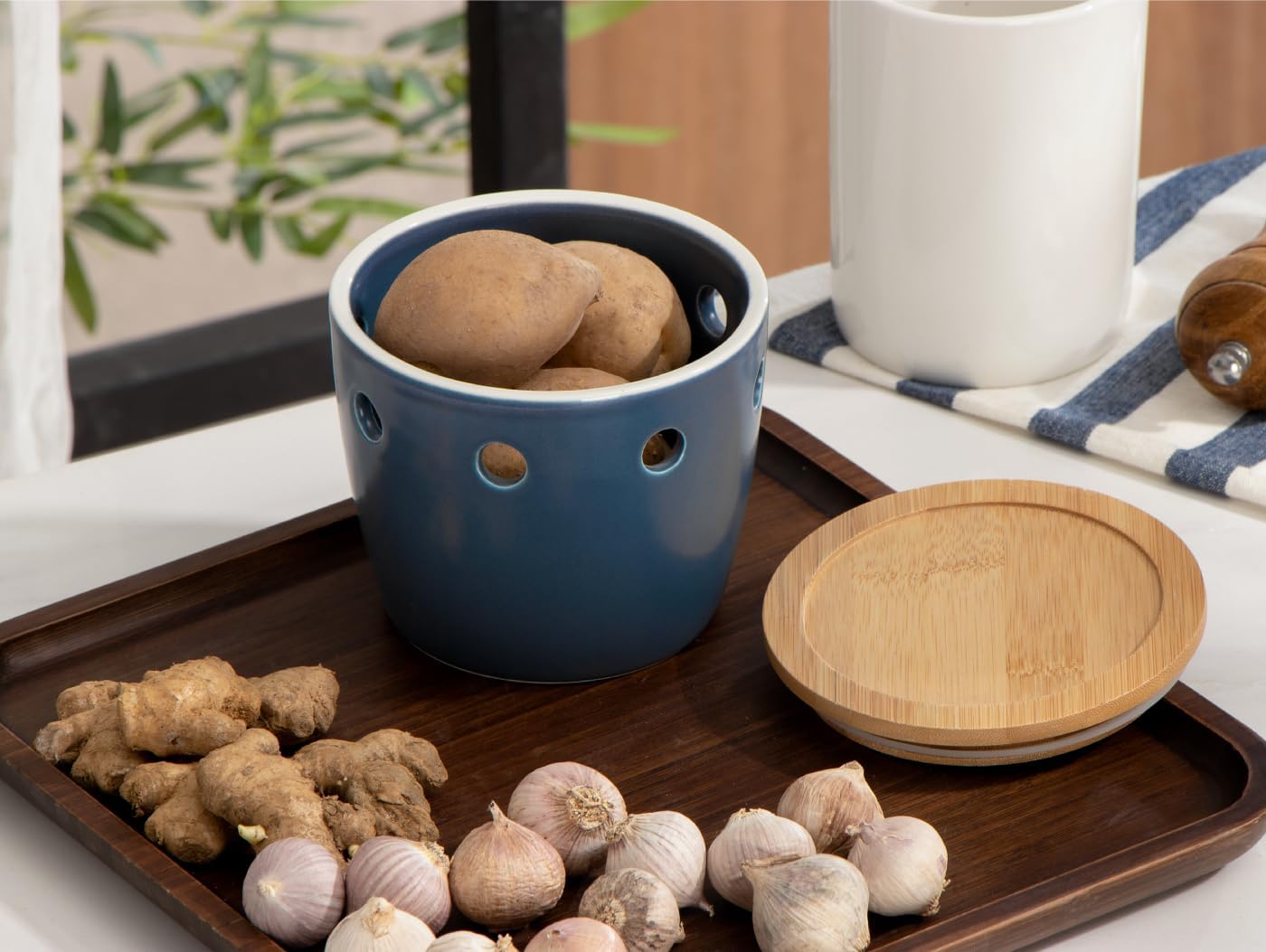 ONEMORE Large Garlic Keeper with Lid, Ceramic Garlic Saver 5 inch, Garlic Keeper for Counter, Blue