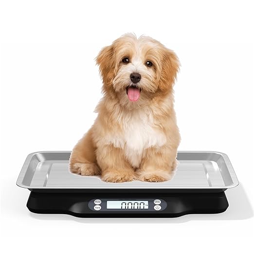 Helsevesen Digital Little Animal Precision Scale(30kg/2g; 66lb/0.1oz), Kitchen Scale, Postal Scale, Compact Bench Scale, Digital Wet Diaper/Organ Scale