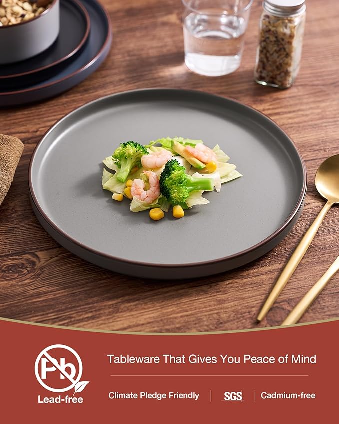 Famiware Nebula Ridge Stoneware Dinnerware Sets for 8, 24 Pieces Plates and Bowls Sets, Dishes Set, Microwave and Dishwasher Safe Kitchen Plates, Multi-color