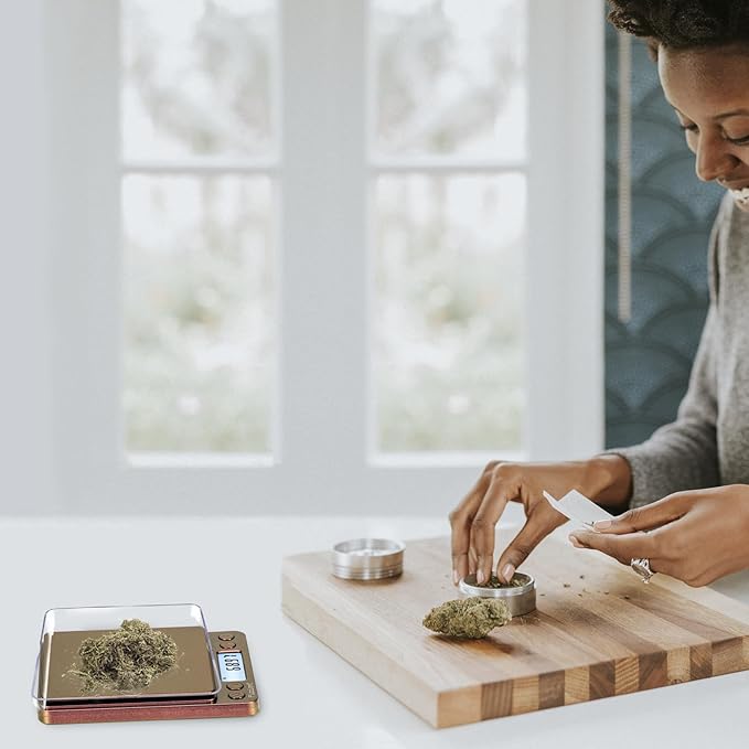 Fuzion Digital Scale .01 Gram Accuracy, 500g Mini Food Scales for Small Jewelry, Gold, Herb, Spice - Weight Gram and Oz