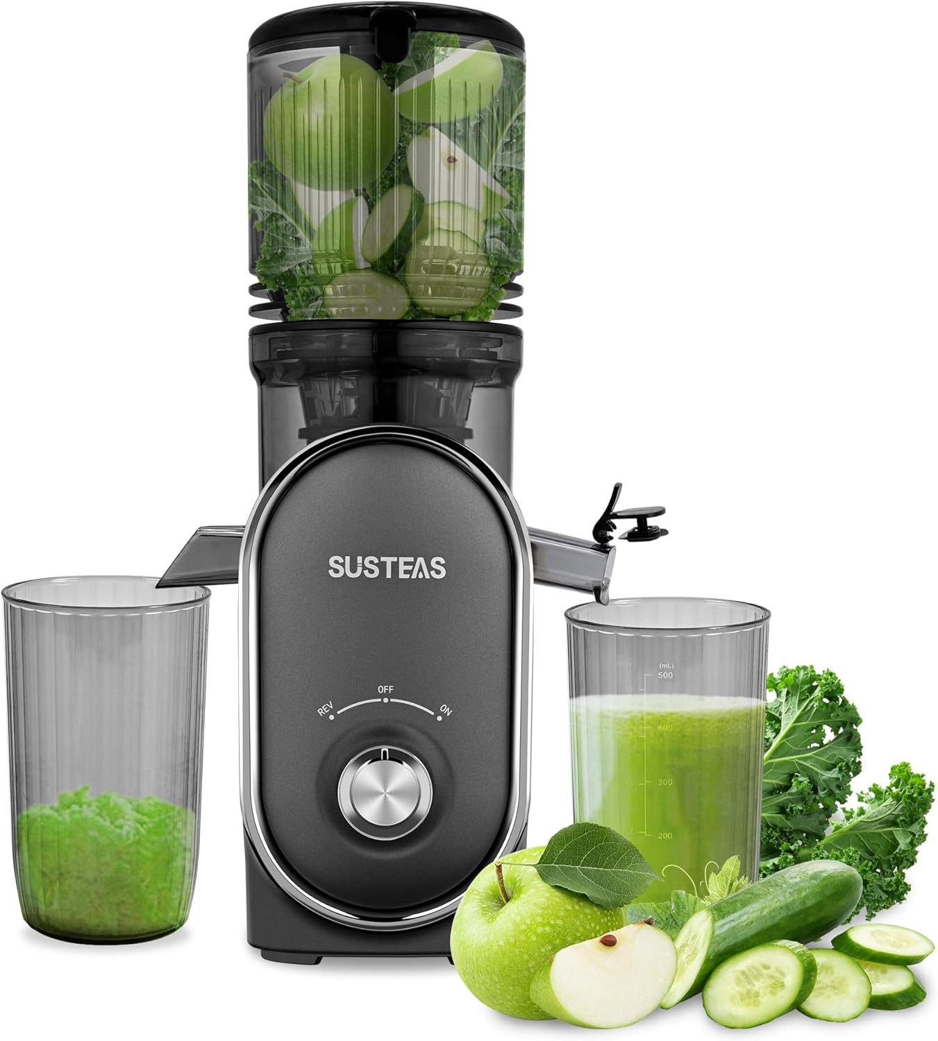 SUSTEAS Cold Press Juicer, 5.3" Feed Chute(50oz Capacity), 300 Watt Slow Masticating Juice Extractor for Whole Fruits and Vegetables, Automatic Feed, Easy to Clean, High Juice Yield,Silver gray