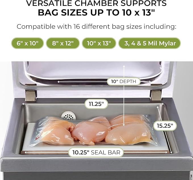 VacMaster VP210 Maintenance-Free Chamber Vacuum Sealer with 10.25” seal bar