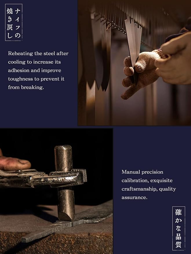 HOSHANHO 8 Inch Japanese Gyuto Chef Knife, 9 Layers 10Cr15CoMoV High Carbon Steel Kitchen Knife, Professional Hand Forged Cooking Knife with Ergonomic Rosewood Handle