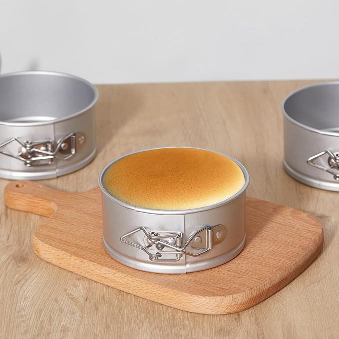 Sunnyray 25 Pcs 4 Inch Springform Pan for Baking Mini Cheesecake Pans with Removable Bottom Nonstick Leakproof Round Cake Mold Spring Form Molds for Mini Cheesecake Pizza and Quiches (Silver)
