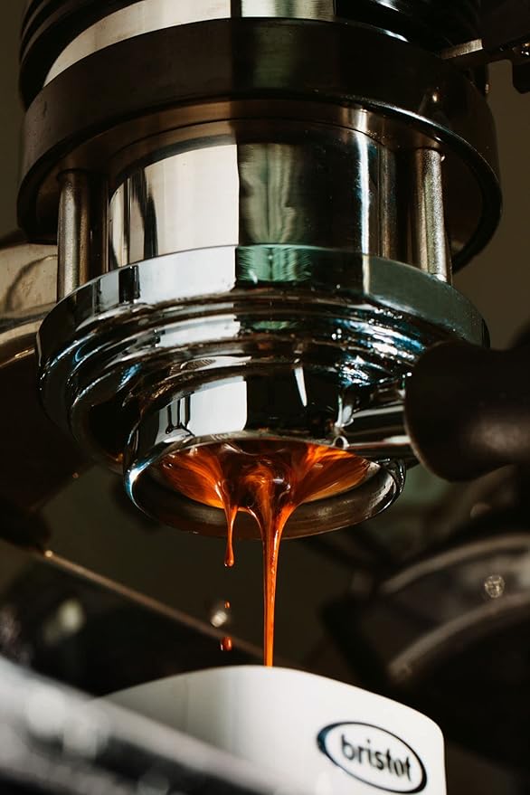 Bristot Italian Espresso For Espresso Machines | Italian Espresso Beans | Medium Roast | 1.1Lb/500g (Pack of 2)