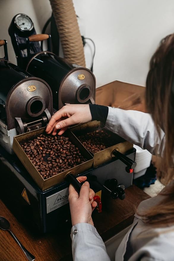 Bristot Bio Organic Italian Espresso Beans | Italian Whole Beans | Medium Roast | 1.1lb/500g (Pack of 2)