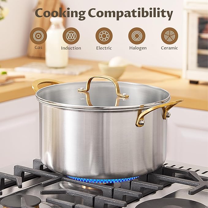 BEZIA 10 Quart Tri-Ply Stainless Steel Stock Pot, Nonstick Stockpot with Sturdy & Double Handle, Even Heating, Induction Cooking Pot for All Stoves, Large Soup Pot for Catering，Groups, Events, Silver