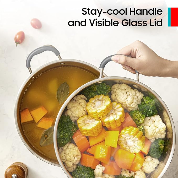 SUNHOUSE Cookware for Cooking (STEAMER POT, 3 Quarts)