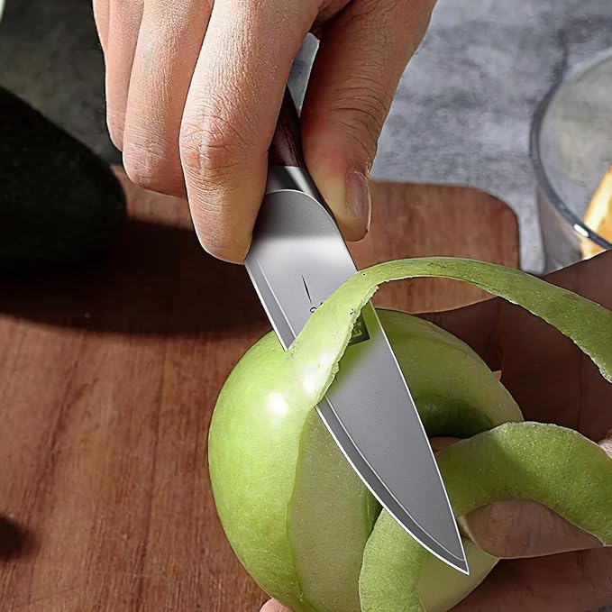 SHAN ZU Paring Knife 3.75 Inch, High Carbon Japanese 10Cr15Mov Stainless Steel Kitchen Professional Ultra Sharp Japanese Knife with Ergonomic Pakkawood Handle