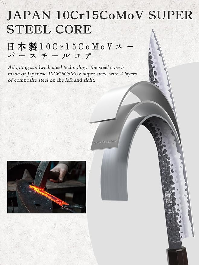 HOSHANHO Sushi Knife Japanese Sashimi Knives 10 Inch, Hand Forged High Carbon Steel Yanagiba Knife, Kitchen Chef Knives for Cutting Sushi & Sashimi, Fish Filleting