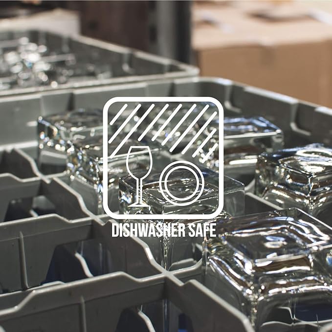 Rolf Glass School of Fish 8oz Champagne Flute Glass | Toasting Flute Glasses | Lead-Free Glass | Etched Flute Glasses | Proudly Made in the USA (Set of 4)