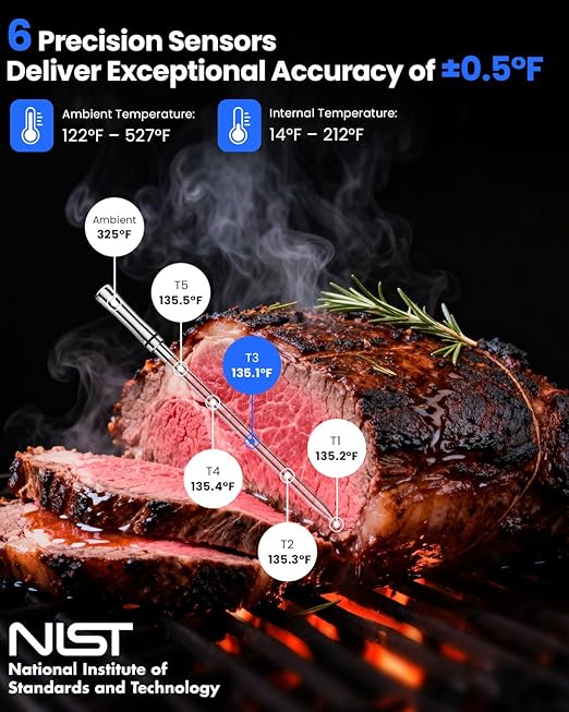 PROGRACE Smart Bluetooth Wireless Meat Thermometer: Standalone Base, WiFi Unlimited Range, 6 Sensors with NIST Certified Accuracy, for iOS and Android, for Kitchen, BBQ, Grill, Oven, Smoker