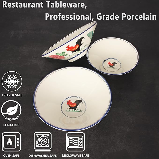 porcelain Japanese Ramen Bowls Soup Bowl, Microwavable, Dishwasher Safe, for Rice, Udon, Soba, Pho, 35 oz, Set of 2, 9.3 Inch