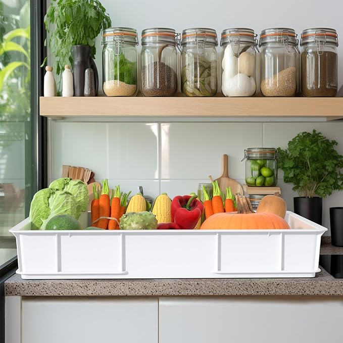 4-pack Large Commercial Plastic Pizza Dough Proofing Box, White, 23.6" x 16.1" x 3.7"