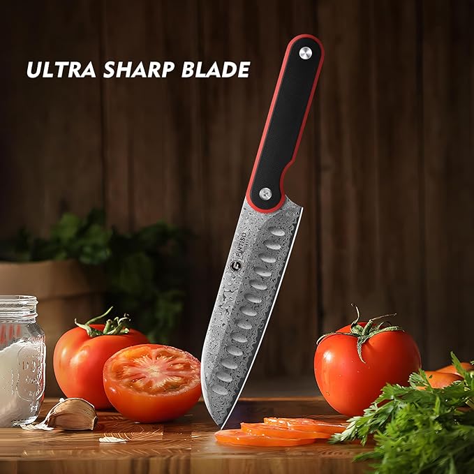 FINTISO Chef Knife 7 Inch Kitchen Knife, Sharp Santoku Knife 67-Layer Damascus Steel with 10Cr15CoMoV Steel Core, Professional Cooking Knife with Ergonomic Full Tang G10 Handle for Chopping Slicing