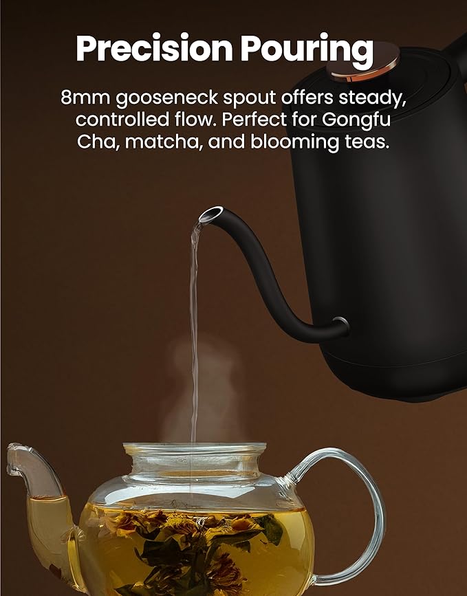 Vianté Electric Gooseneck Kettle with Precise Temperature Control. Pour Over Coffee & Tea Kettle. Boil-Dry Protection & Keep Warm Function. Stainless Steel, BPA-Free. Includes V60#2 Filters. 0.8L