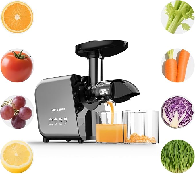 Slow Cold Press Juicer for Fruits Vegetables Celery Carrot Ginger, Masticating Juicer Machine Soft Hard Reverse Function,250W Motor,Easy To Clean, Fresh Orange Juice Extractor
