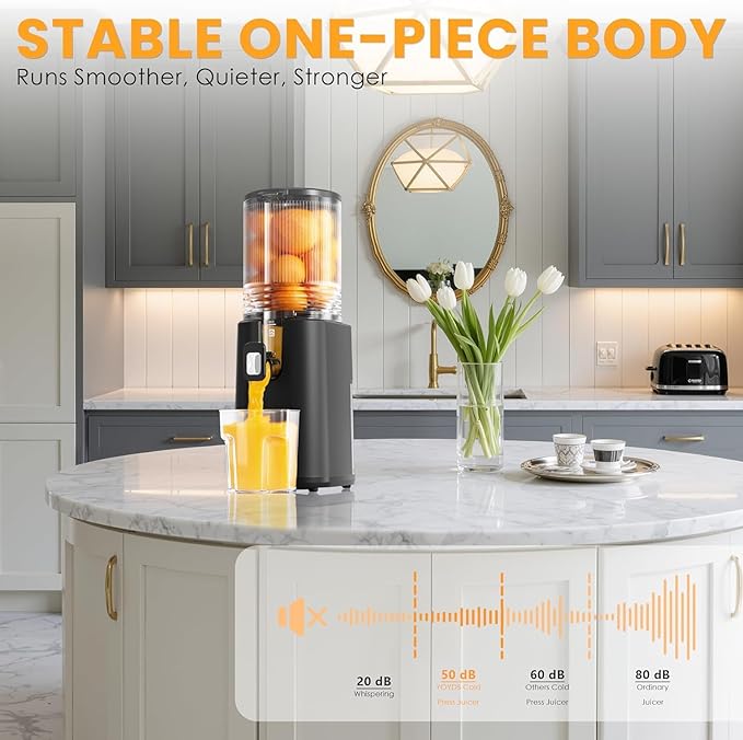 Cold Press Juicer, 5.5inch Wide Feed Chute Juicer Machine, Slow Masticating Juicer for Whole Vegetables & Fruits, Black