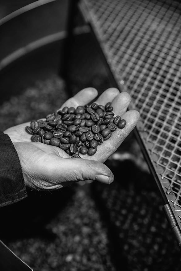 Bristot Crema Oro Italian Espresso Beans | Italian Beans Whole | Medium Roast | 1.1lb/500g (Pack of 2)