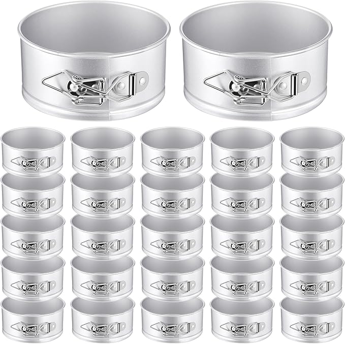 Sunnyray 25 Pcs 4 Inch Springform Pan for Baking Mini Cheesecake Pans with Removable Bottom Nonstick Leakproof Round Cake Mold Spring Form Molds for Mini Cheesecake Pizza and Quiches (Silver)