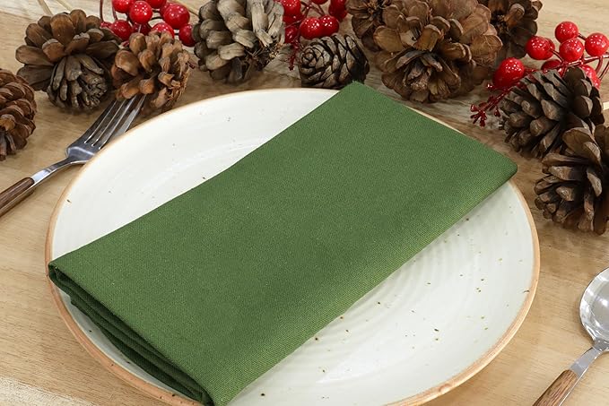 PurpleEssences Set of 6 Cloth Dinner Napkins 100% Cotton 18x18 Inch - Soft Durable Washable - Ideal for Farmhouse Party Christmas Holiday Winter - Perfect Everyday Use Table Linen - Sage Green