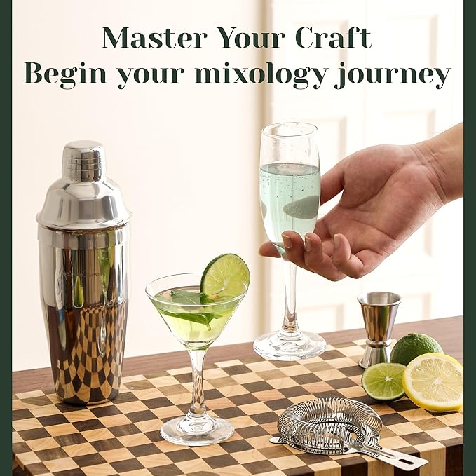 Cocktail Shaker Set, 24-Piece Bar Bartender Kit with Stand, Martini Shaker, Jigger, Strainer,Mixer Spoon,Muddler,Liquor Pourers,Tongs,Opener,LCE Ball Mold&LCE Cubes,Bottle Stoppers|Silver