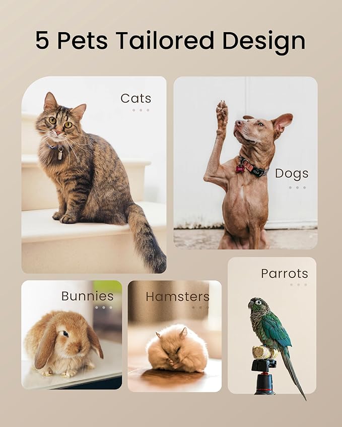 Pet Fresh Food Processor Gift Set – Quick 10 Types of Homemade Fresh Foods for 5 Pet Types, 5.5Qt 7-in-1 Cooking Machine with Easy One-Touch Panel, 100+ DIY Recipes with Various Accessories