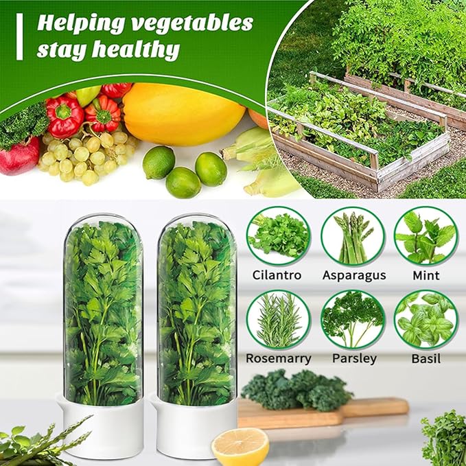 Herb Saver for Refrigerator - Herb Keeper & Cilantro Container for Fridge | Vegetable Preservation Storage Container for Cilantro, Basil, Asparagus | Extends Freshness Up to 2-3 Weeks (3PCS)