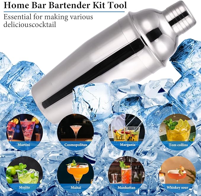 Cocktail Shaker Set, 19 Piece Bartender Kit, Silver, Bar Tool Set with Cocktail Shaker, Mixer Spoon, Measuring Cup, Strainer, Muddler, Corkscrew, Tongs