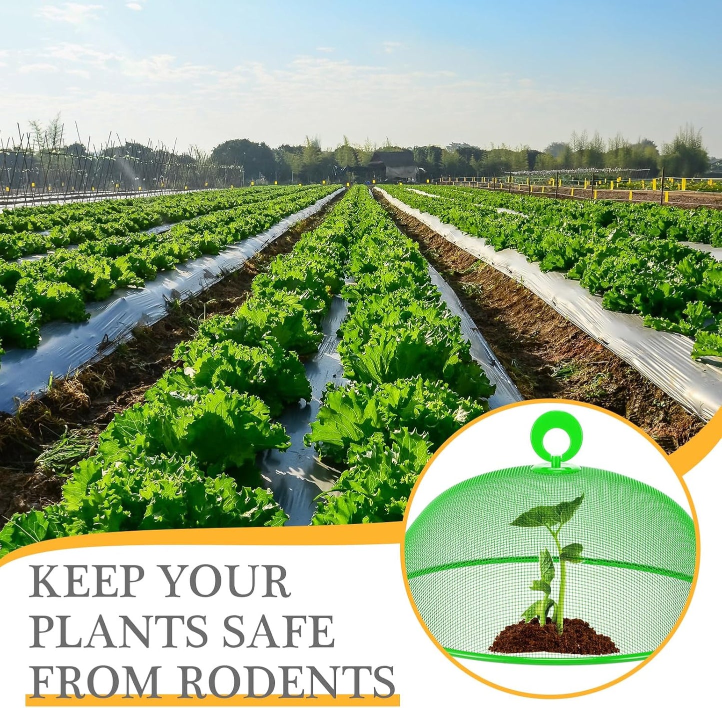 Gerrii 6 Pcs Metal Mesh Food Cover Outdoor Mesh Food Tents Dome Screen Plate Covers for Dinner Plates Reusable Fruit Fly Nets Picnic Food Umbrella for Table, BBQ, Camping, Party (Multicolor,11 Inch)