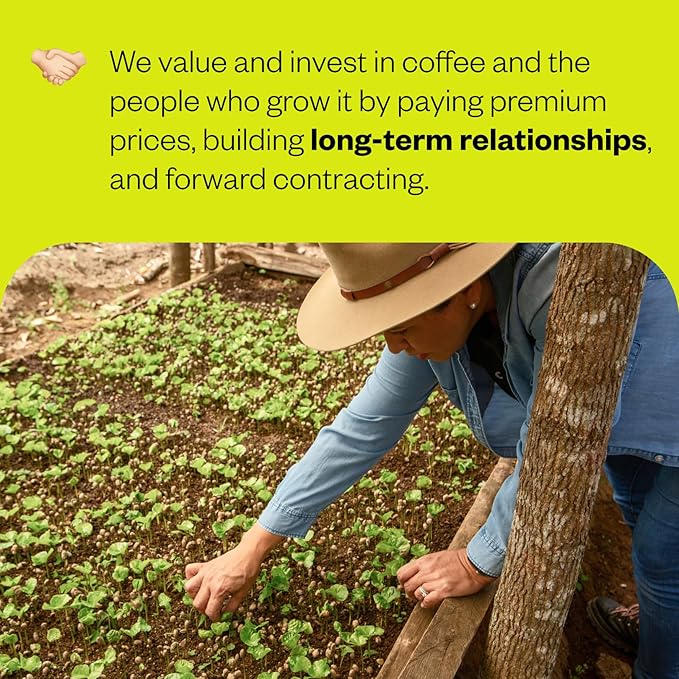 Counter Culture Coffee - Whole Bean Coffee - Freshly Roasted Coffee Beans - Premium Coffee - Multiple Flavors - One 12 Ounce Bag of Each (Hologram)