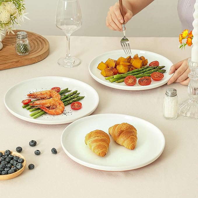 Stoneware Dinner Plates Set of 4, 10.25 Inch Plates for Steak, Pasta, Ceramic Plates Sets, Microwave Safe, Dishwasher Safe, Versatile for All Seasons, Stardust Glaze White