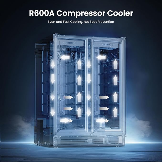 Yeego Wine and Beverage Refrigerator - 24 Inch Dual Zone Wine Cooler Fridge with Glass Door, Quiet Compressor Cooling, Hold 60 Cans & 20 Bottles, Built-in or Freestanding or Under Counter