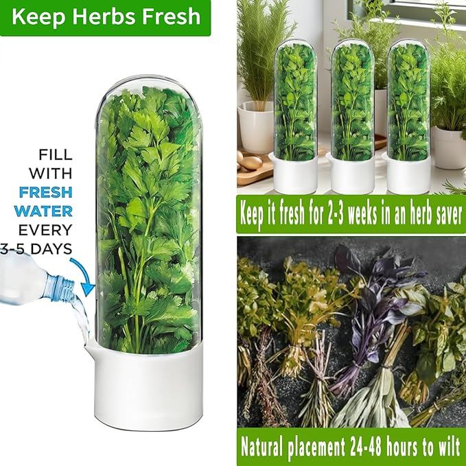 Cilantro Container for Fridge, Herb Saver for Refrigerator - Fresh Herb Keeper for Cilantro, Basil, Asparagus, Parsley, Keeps Greens Vegetables for 2-3 Weeks (1PCS)
