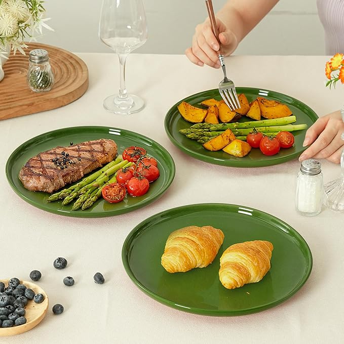 Stoneware Dinner Plates Set of 4, 10.25 Inch Plates for Steak, Pasta, Ceramic Plates Sets, Microwave Safe, Dishwasher Safe, Versatile for All Seasons, Forest Glaze Green