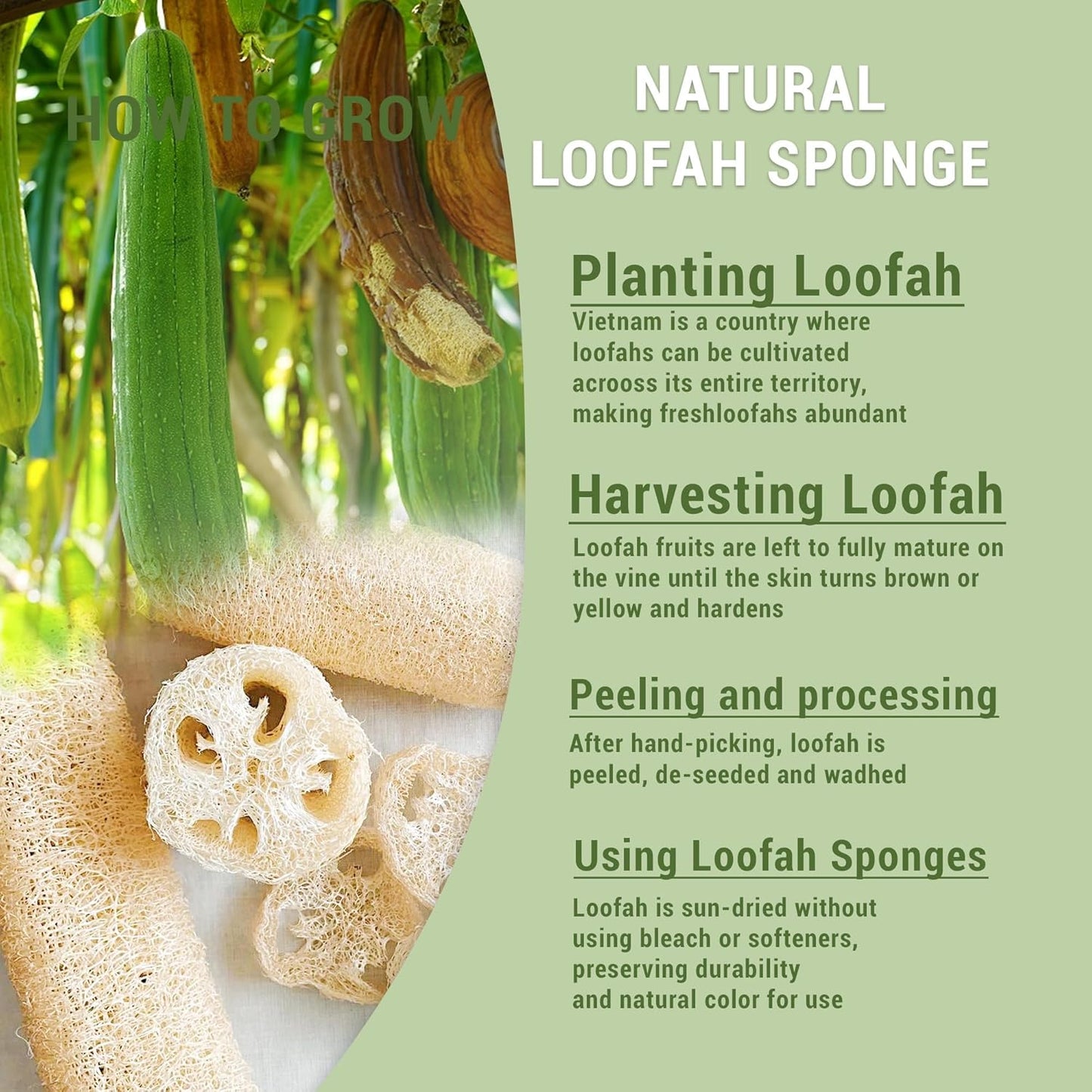 Natural Loofah Kitchen Scrubbing Pads, Vietnamese 100% Plant-Based Luffa, Multi-Purpose Dish Washing Sponges (Pack 4)